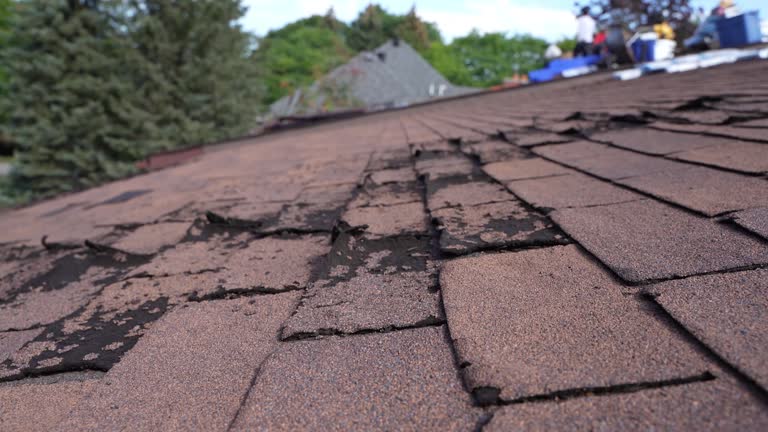 Best Commercial Roofing Services  in Frankston, TX
