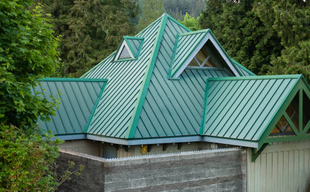 Best Roof Leak Repair  in Frankston, TX
