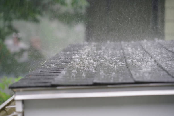 Best Roof Coating Services  in Frankston, TX