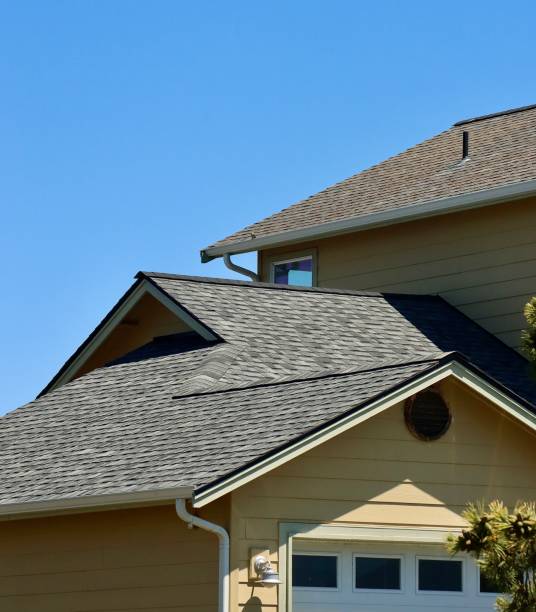 Best Sheet Metal Roofing  in Frankston, TX
